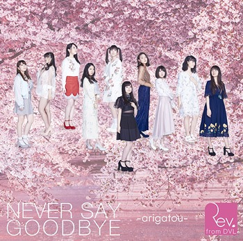 NEVER SAY GOODBYE -arigatou- (régulière)