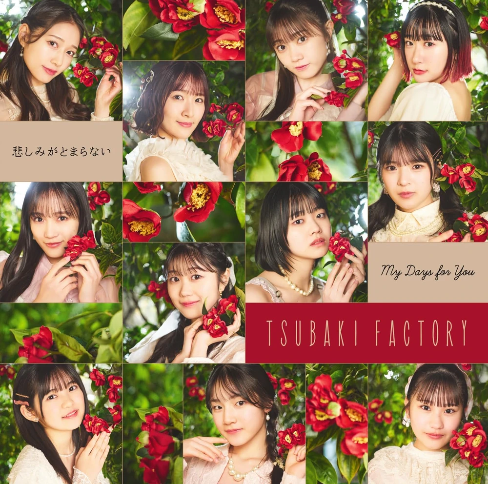 My Days for You / Kanashimi ga Tomaranai (SP)