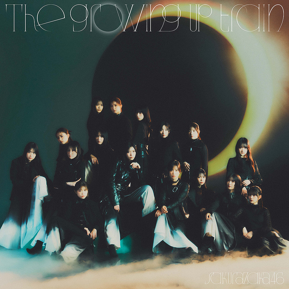 The growing up train (Type D)
