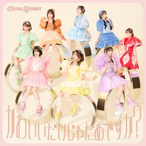 Kawaii Dake ja Dame Desu ka? (Limited)