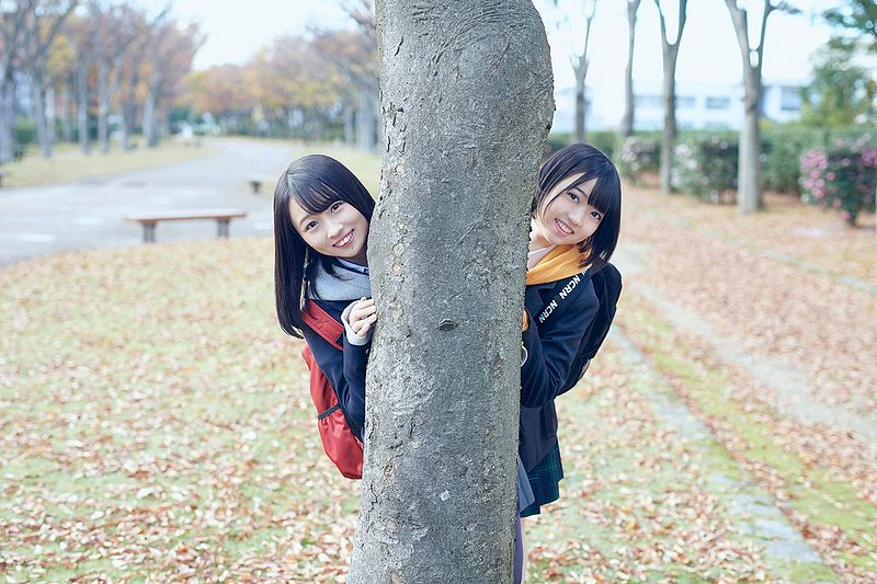 Fortune cherry