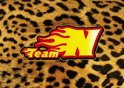 Team N
